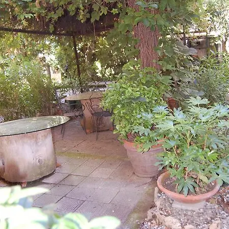 Bed & Breakfast Arena Alfieri Livorno