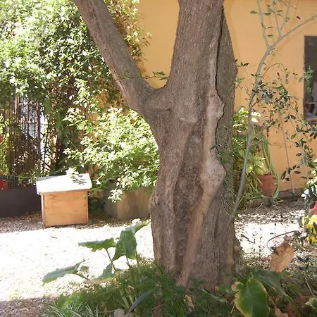 Arena Alfieri Couette-café Livourne